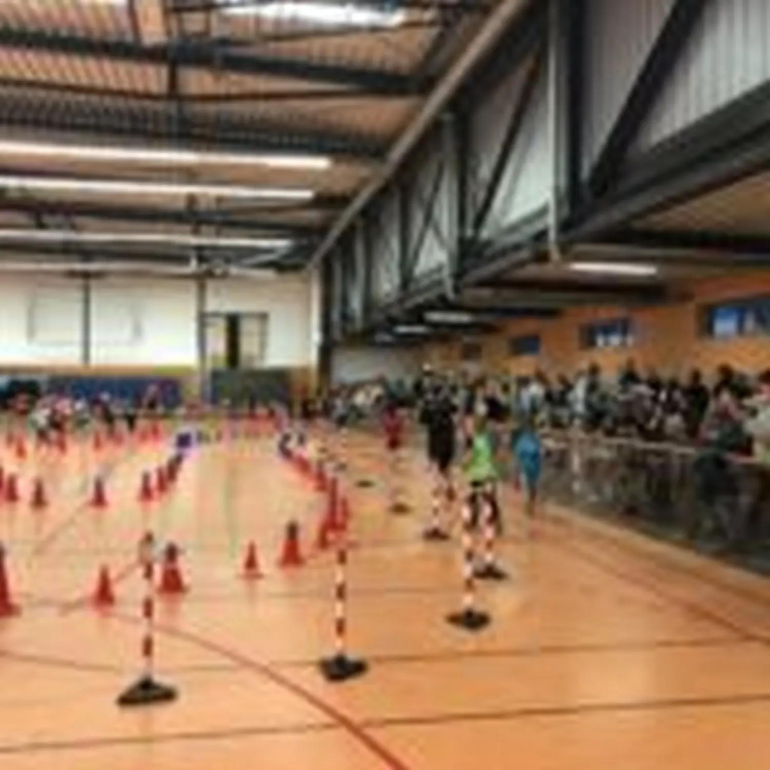 Renntraining von Hartwig