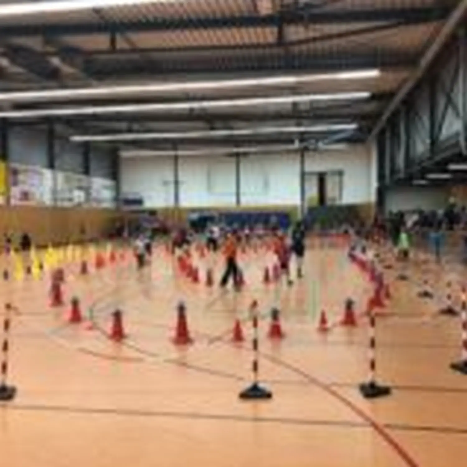 Renntraining von Hartwig