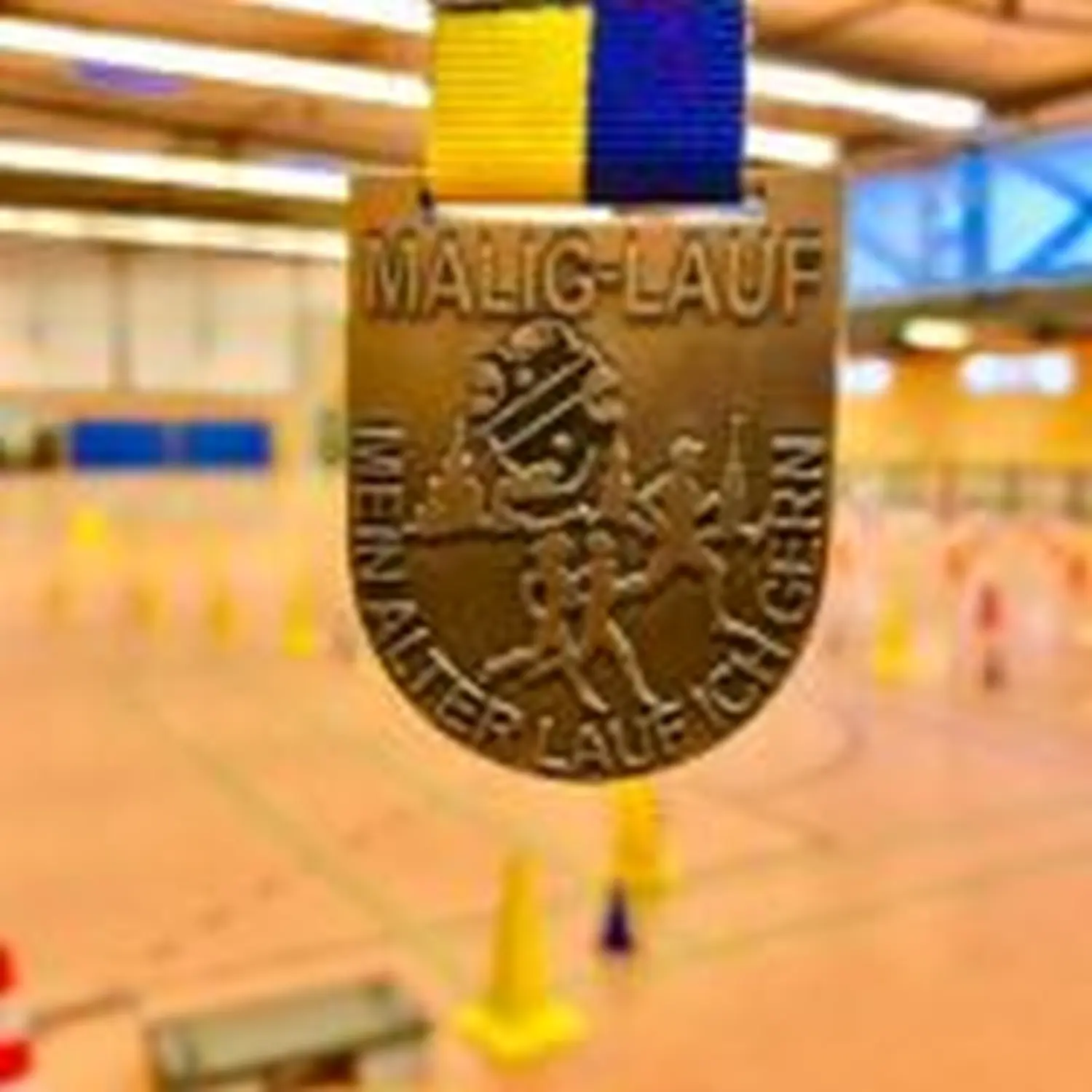 Renntraining von Hartwig